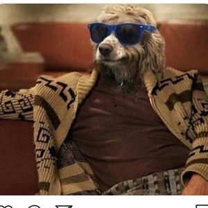 Meet your Posher, Keith